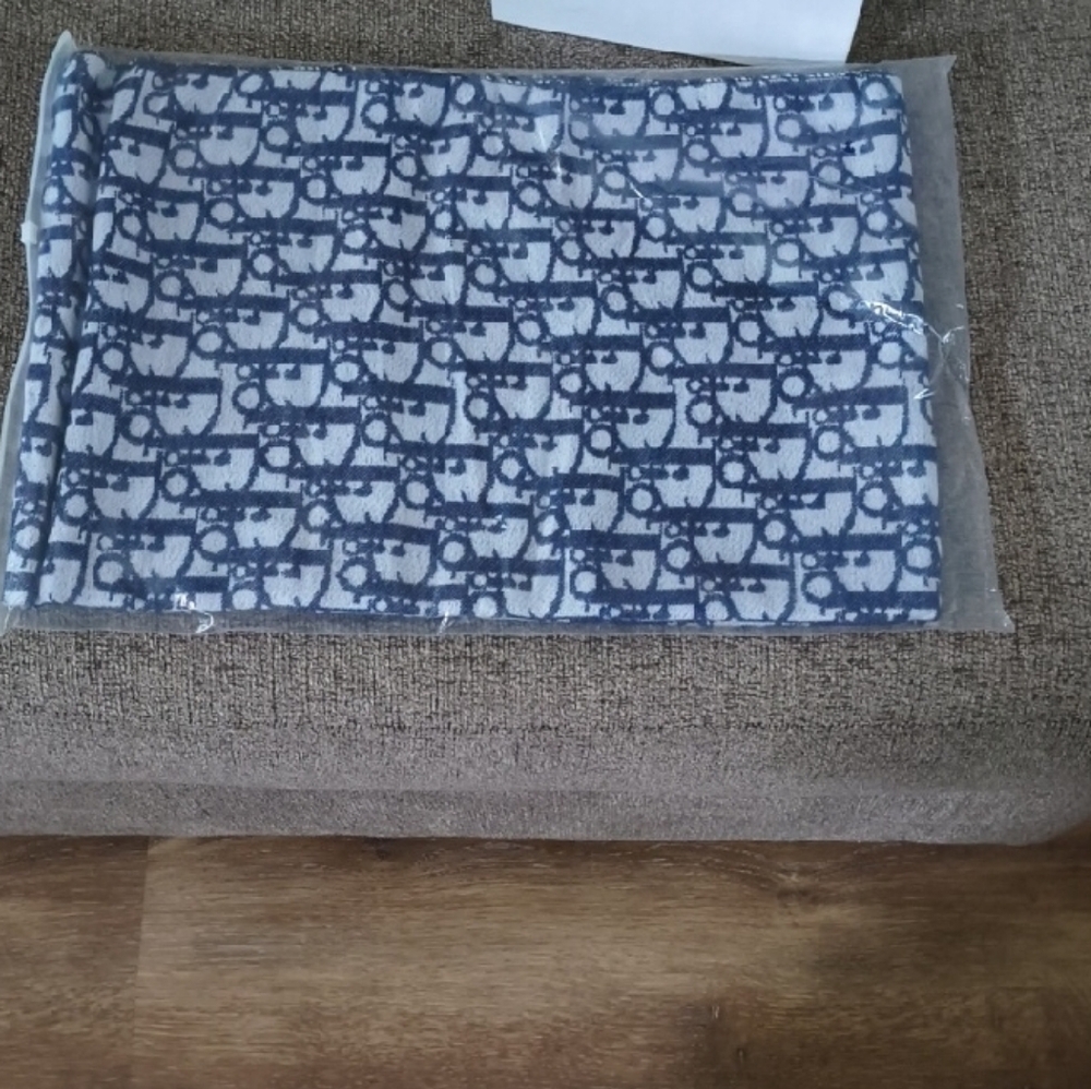 Dior Blue and White Scarf - Picture 2 of 6